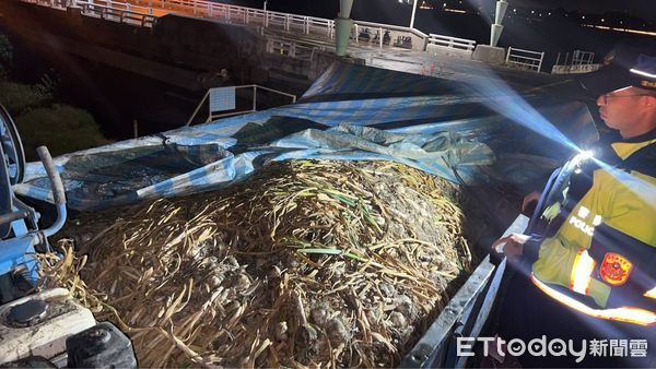 ▲▼農民遭竊蒜頭550台斤，警方當晚就逮捕2嫌犯。（圖／記者游瓊華翻攝）