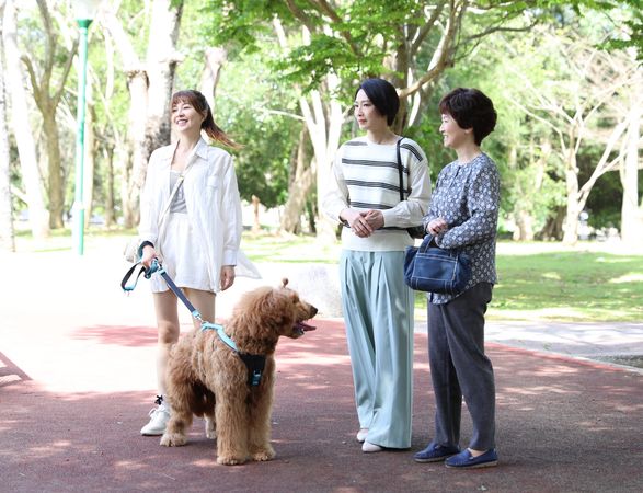 ▲謝京穎近期在《好運來》跟狗狗有不少對手戲。（圖／民視提供）