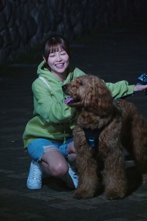 ▲謝京穎近期在《好運來》跟狗狗有不少對手戲。（圖／民視提供）