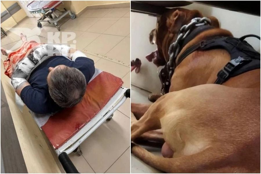 ▲▼             。（圖／翻攝自59.ru）