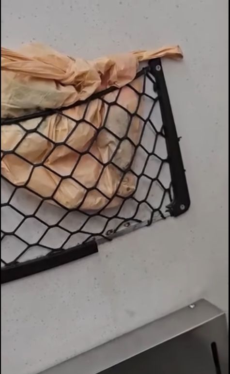 ▲▼台鐵乘客「放鳥」。（圖／翻攝臉書／爆料公社）