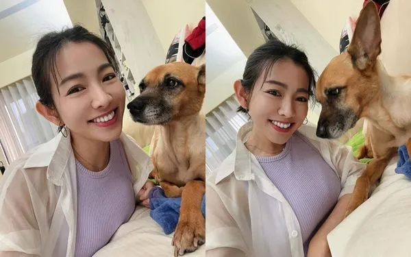 ▲米可白的愛犬被診斷出罹患胃癌。（圖／翻攝自Instagram／mimi00419）