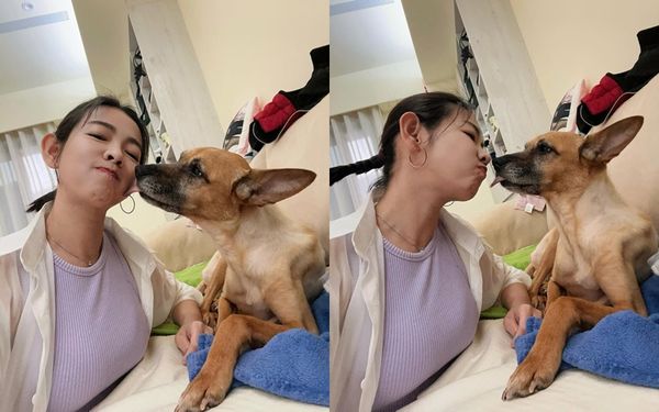 ▲米可白親吻愛犬，畫面十分溫馨。（圖／翻攝自Instagram／mimi00419）