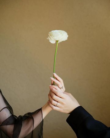 ▲15歲創業當CEO！日本天才少年娶女偶像　前AKB48朝長美櫻宣布閃婚 。（圖／翻攝自朝長美櫻IG）