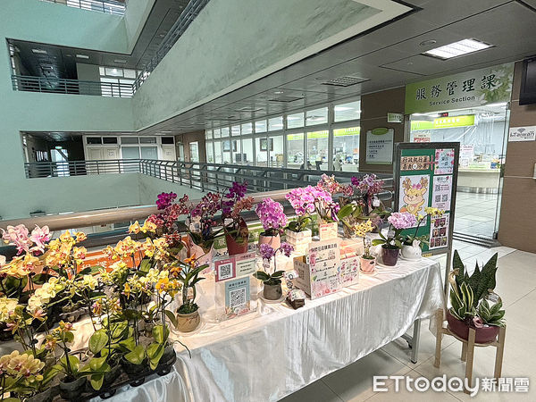 ▲▼  嘉義分署公私協力再升級嘉義市國稅喜迎芳蘭嬌客  。（圖／法務部行政執行署嘉義分署提供）