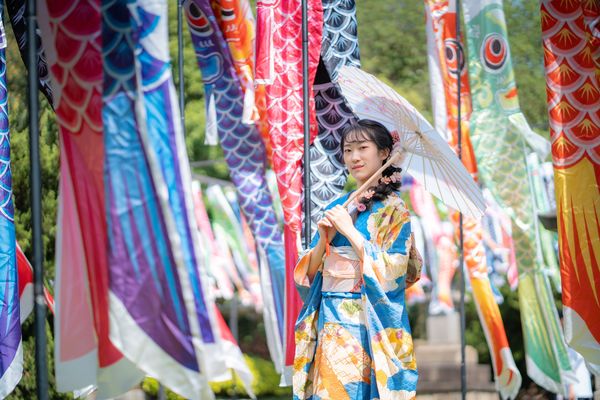 ▲桃園神社「鯉魚流光祭り」19日起展至8月31日止。（圖／桃園神社提供）