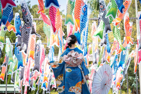 ▲桃園神社「鯉魚流光祭り」19日起展至8月31日止。（圖／桃園神社提供）
