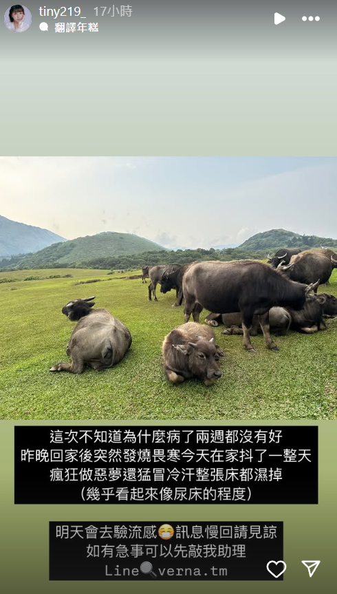 ▲胎尼體況亮紅燈。（圖／翻攝自Instagram／tiny219_）