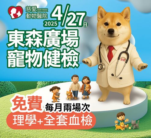 寵物周末健檢。（圖／東森寵物提供）