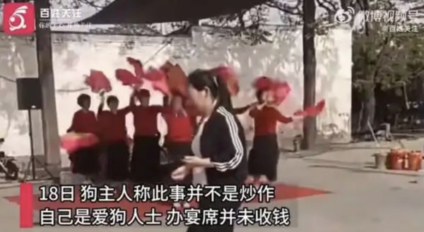▲▼陸男幫小狗辦「滿月宴」　遭當地官方調查：違背道德良俗。（圖／翻攝微博）