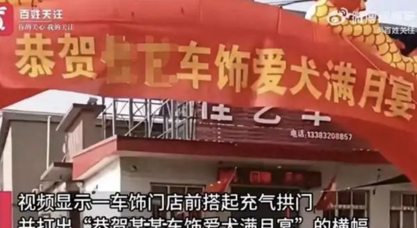 ▲▼陸男幫小狗辦「滿月宴」　遭當地官方調查：違背道德良俗。（圖／翻攝微博）