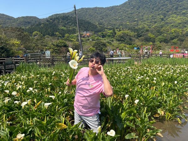 ▲▼胡瓜搭公車到陽明山。（圖／下面一位提供）