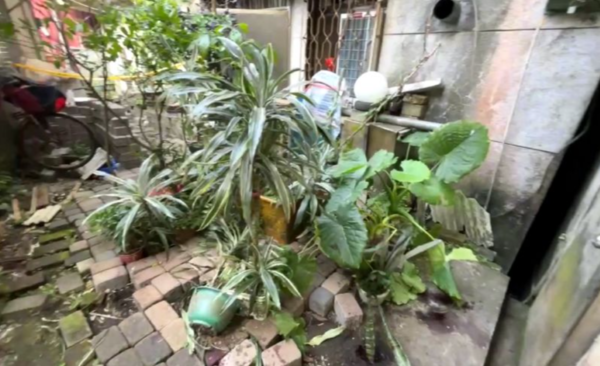 ▲▼             。（圖／）