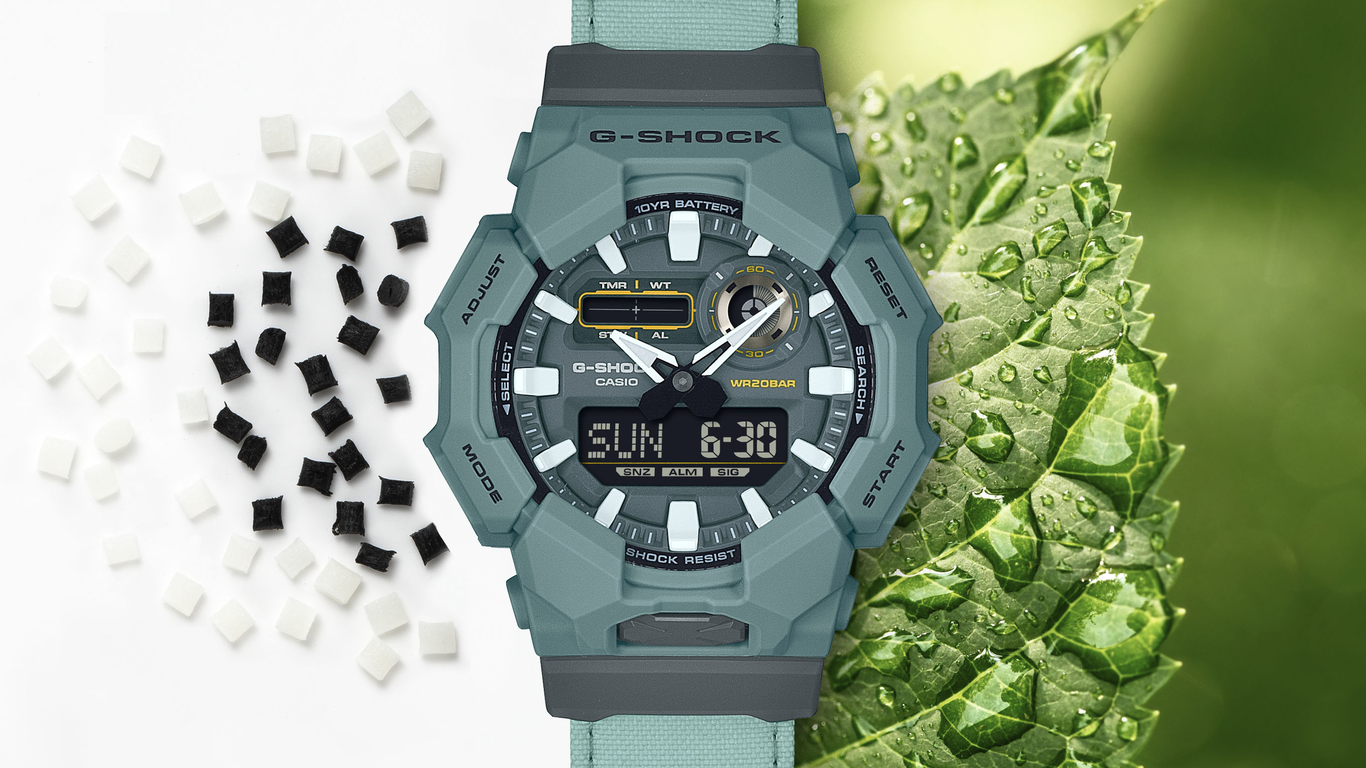 ▲▼ CASIO            。（圖／公關照）