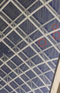 離世壯運不到1個月「大巨蛋再次漏水」 陳宥丞:又要不開罰?