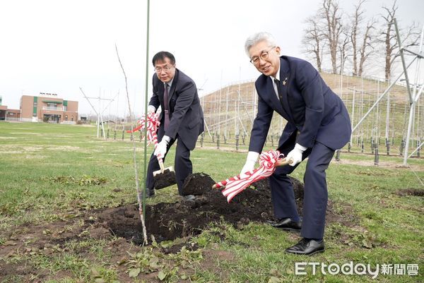 ▲黃偉哲市長與弘前市長櫻田宏一同種下象徵友誼的蘋果樹，祈願兩市情誼永固。（圖／記者林東良翻攝，下同）