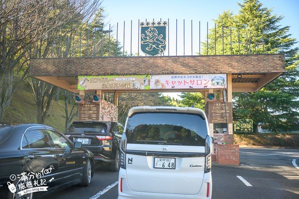 ▲▼【2025九州自然動物園】叢林巴士購票玩樂攻略!體驗餵獅子大象和駱駝,還能和長頸鹿合影超震撼。（圖／部落客滿分授權提供）