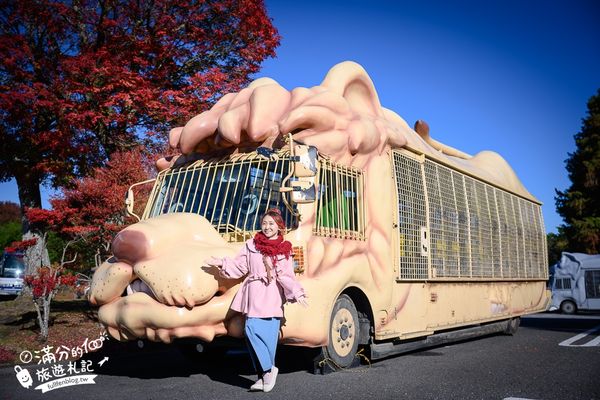 ▲▼【2025九州自然動物園】叢林巴士購票玩樂攻略!體驗餵獅子大象和駱駝,還能和長頸鹿合影超震撼。（圖／部落客滿分授權提供）