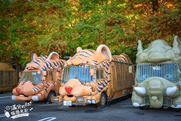 ▲▼【2025九州自然動物園】叢林巴士購票玩樂攻略!體驗餵獅子大象和駱駝,還能和長頸鹿合影超震撼。（圖／部落客滿分授權提供）