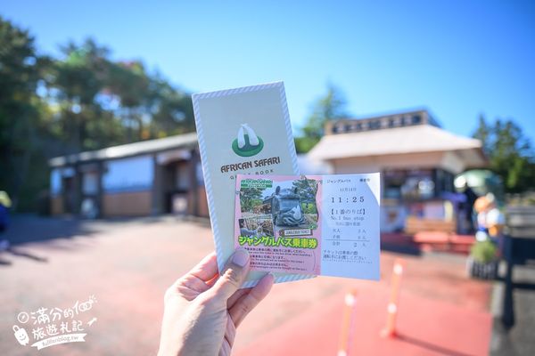 ▲▼【2025九州自然動物園】叢林巴士購票玩樂攻略!體驗餵獅子大象和駱駝,還能和長頸鹿合影超震撼。（圖／部落客滿分授權提供）