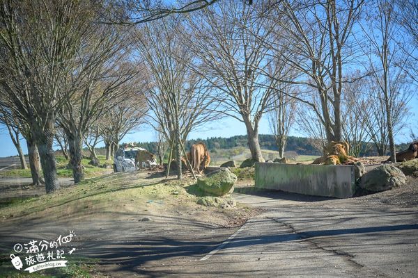 ▲▼【2025九州自然動物園】叢林巴士購票玩樂攻略!體驗餵獅子大象和駱駝,還能和長頸鹿合影超震撼。（圖／部落客滿分授權提供）