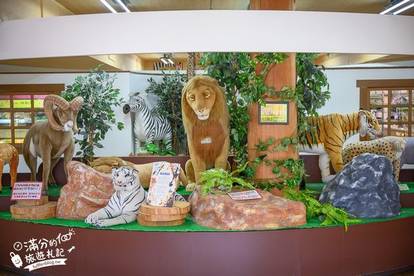 ▲▼【2025九州自然動物園】叢林巴士購票玩樂攻略!體驗餵獅子大象和駱駝,還能和長頸鹿合影超震撼。（圖／部落客滿分授權提供）