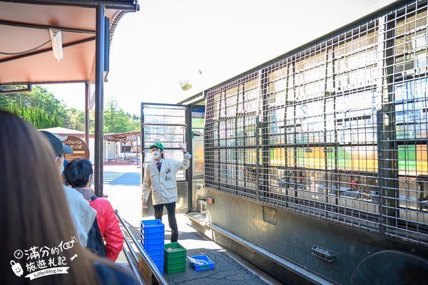 ▲▼【2025九州自然動物園】叢林巴士購票玩樂攻略!體驗餵獅子大象和駱駝,還能和長頸鹿合影超震撼。（圖／部落客滿分授權提供）