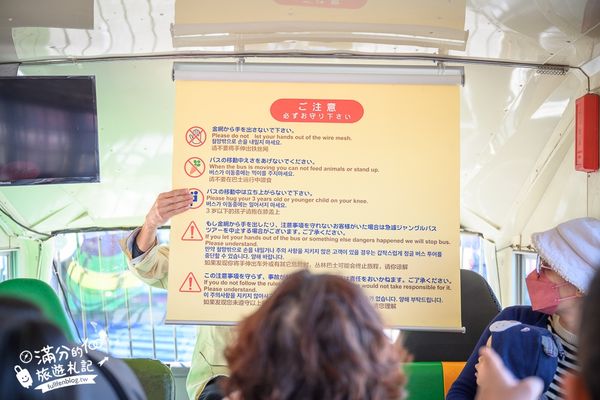 ▲▼【2025九州自然動物園】叢林巴士購票玩樂攻略!體驗餵獅子大象和駱駝,還能和長頸鹿合影超震撼。（圖／部落客滿分授權提供）