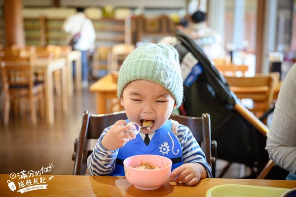 ▲▼【2025九州自然動物園】叢林巴士購票玩樂攻略!體驗餵獅子大象和駱駝,還能和長頸鹿合影超震撼。（圖／部落客滿分授權提供）