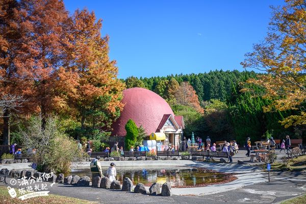 ▲▼【2025九州自然動物園】叢林巴士購票玩樂攻略!體驗餵獅子大象和駱駝,還能和長頸鹿合影超震撼。（圖／部落客滿分授權提供）