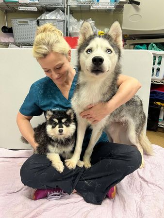 哈士奇媽媽執意陪在寶寶身邊。（圖／翻攝自Kentucky Humane Society）
