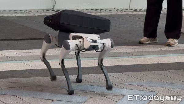 ▲▼ ▼  宇樹科技、雲深處科技、機器人、機器狗           。（圖／記者任以芳攝）