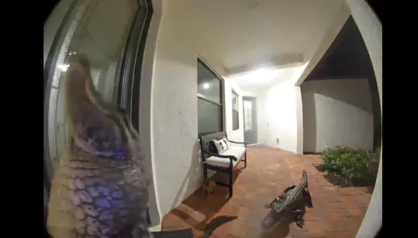 監視器拍到門口出現不速之客　男查看發現「2鱷魚按門鈴」嚇。（圖／翻攝自Reddit）