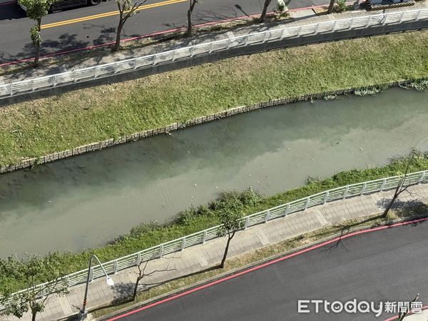 ▲愛河上游出現「牛奶河」，民眾拍下偷排廢水畫面             。（圖／民眾提供）