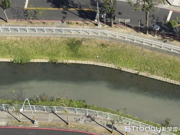 ▲愛河上游出現「牛奶河」，民眾拍下偷排廢水畫面             。（圖／民眾提供）