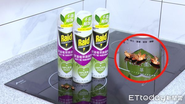 ▲天氣熱蟑螂出沒！刺鼻殺蟲劑不敢用 植萃新選擇網友喊想試▼             。（圖／記者鄭遠龍攝）