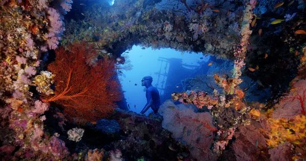 ▲《沈睡的水下巨人》即將在25日上映。（圖／牽猴子提供）