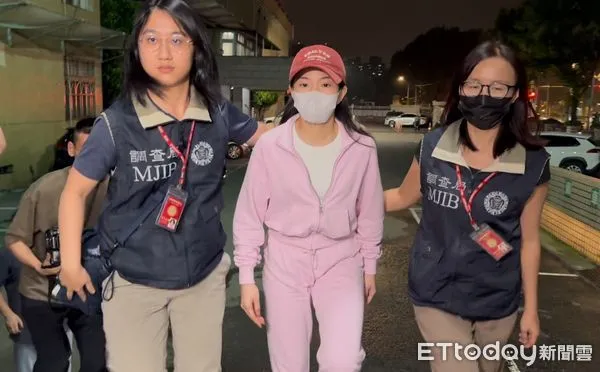 ▲▼家寧涉逃漏稅移送新北檢　一身粉色裝扮曝光。（圖／記者陳以昇攝）