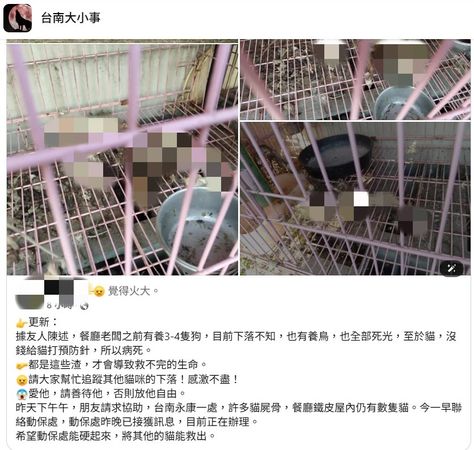 （圖／翻攝自台南大小事）