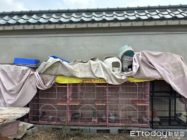 ▲台南市動保處會同永康分局警方前往現場勘查蒐證，發現籠內遺有3具貓屍白骨，當下並未發現其他動物，己蒐證紀錄完成，並帶回貓隻遺骨至善化辦公室保存、後續送驗釐清死因。（圖／記者林東良翻攝，下同）