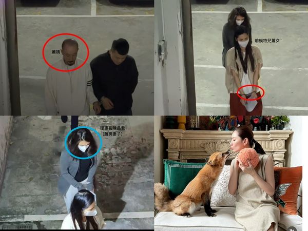 ▲▼  蕭靖          。（合成圖／記者黃宥寧翻攝）
