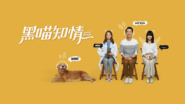 ▲《黑喵知情》入圍第56屆金鐘六項大獎。（圖／LINE TV提供）