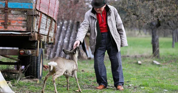 （示意圖／pixabay）