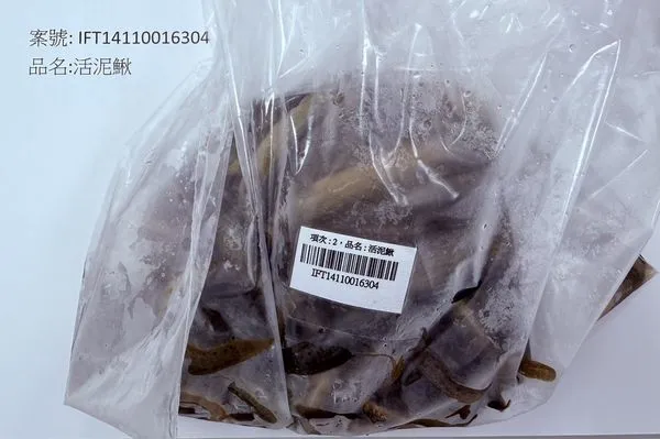 ▲▼中國大陸出口「活泥鰍(MISGURNUS ANGUILLICAUDATUS)」檢出動物用藥殘留含量不符規定。（圖／食藥署提供）