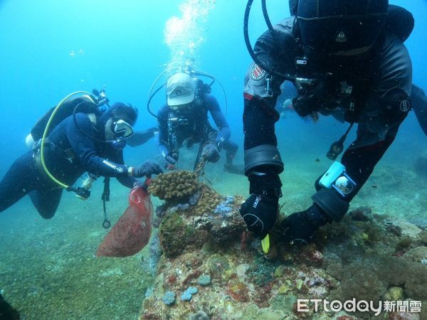 ▲台東縣榮獲海洋環境管理特優縣市。（圖／記者楊漢聲翻攝）