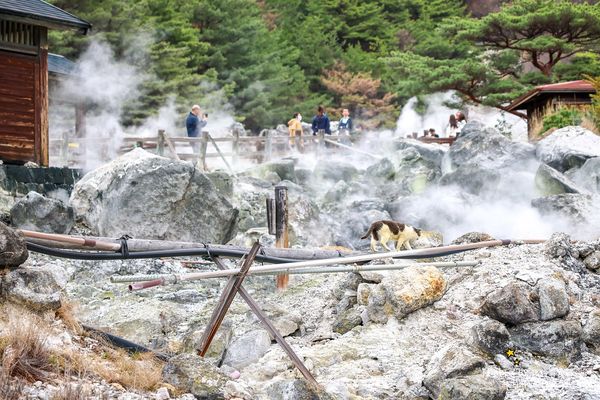 ▲▼【日本長崎景點】雲仙地獄：溫泉貓咪、地獄茶屋美食和交通推薦。（圖／部落客陳小可的吃喝玩樂授權提供）