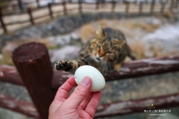 ▲▼【日本長崎景點】雲仙地獄：溫泉貓咪、地獄茶屋美食和交通推薦。（圖／部落客陳小可的吃喝玩樂授權提供）