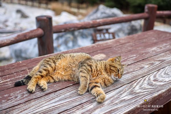 ▲▼【日本長崎景點】雲仙地獄：溫泉貓咪、地獄茶屋美食和交通推薦。（圖／部落客陳小可的吃喝玩樂授權提供）