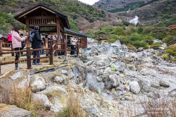 ▲▼【日本長崎景點】雲仙地獄：溫泉貓咪、地獄茶屋美食和交通推薦。（圖／部落客陳小可的吃喝玩樂授權提供）