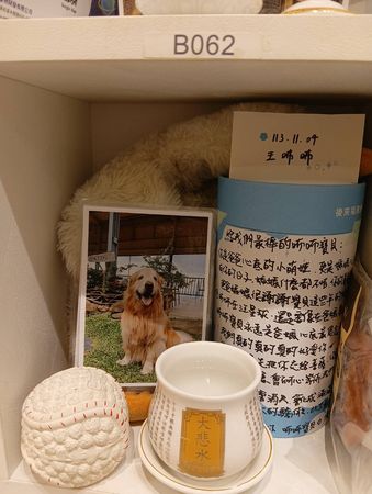 黃金獵犬咘咘。（圖／咘咘媽媽提供）